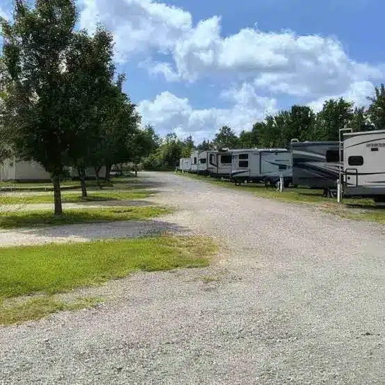 Gravel road through an RV park lined with parked travel trailers on the right and shady grassy sites with trees on the